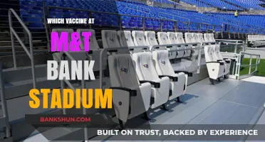 Vaccine Options Available at M&T Bank Stadium: A Comprehensive Guide