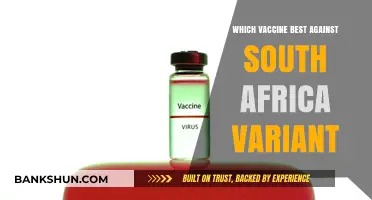 Combatting the South African Variant: A Vaccine Comparison Guide