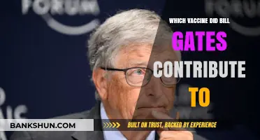 Bill Gates' Philanthropic Efforts: A Look at His Vaccine Contributions