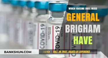 Exploring Vaccine Options at Mass General Brigham: Your Guide