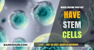 Exploring Vaccine Options: A Guide to Stem Cell-Free Choices