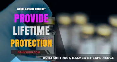 Vaccines with Limited Lifespan: Which Ones Don't Offer Lifetime Protection?