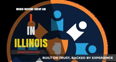 Understanding Your Vaccine Group in Illinois: A Comprehensive Guide