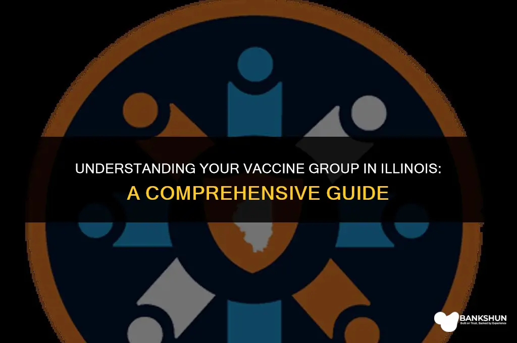 which vaccine group am i in illinois