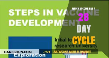 Understanding Vaccine Schedules: The 28-Day Cycle Explained