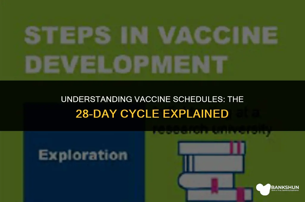 which vaccine has a 28 day cycle