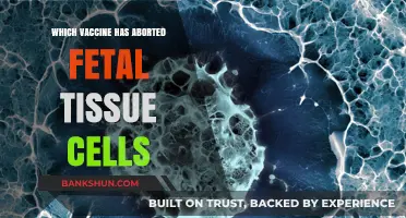 Exploring Vaccine Ingredients: The Truth About Fetal Tissue Cells