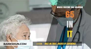 Exploring Adjuvant 65: Which Vaccines Contain This Component?