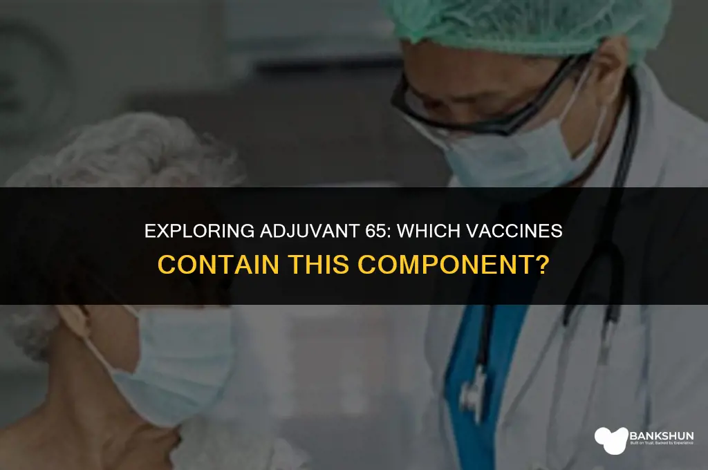 which vaccine has adjuvan 65 in it