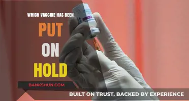Vaccine Pause: Understanding the Halt in Distribution
