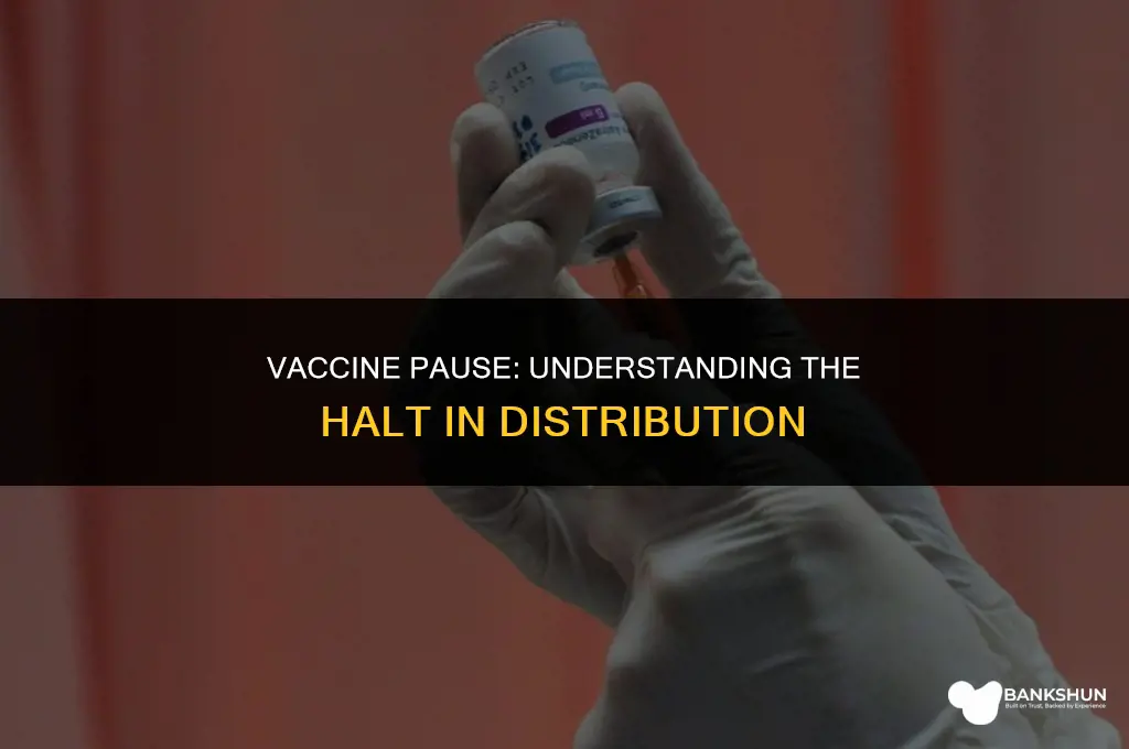 which vaccine has been put on hold