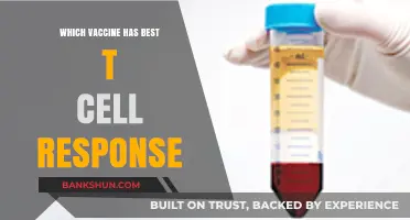 Exploring the Optimal T-Cell Response: A Vaccine Comparison