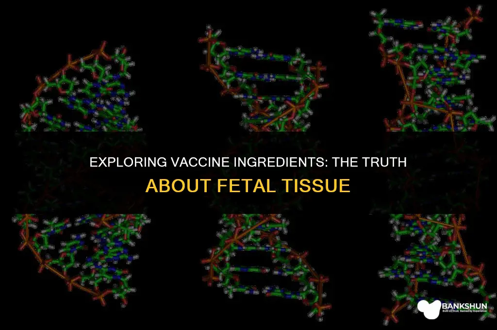 which vaccine has fetal tissue in it