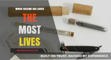 Vaccine Impact: A Lifesaving Journey Through History