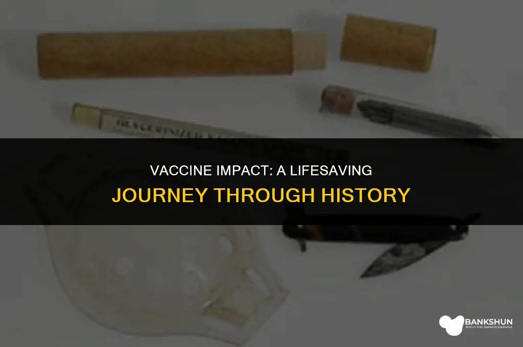 which vaccine has saved the most lives