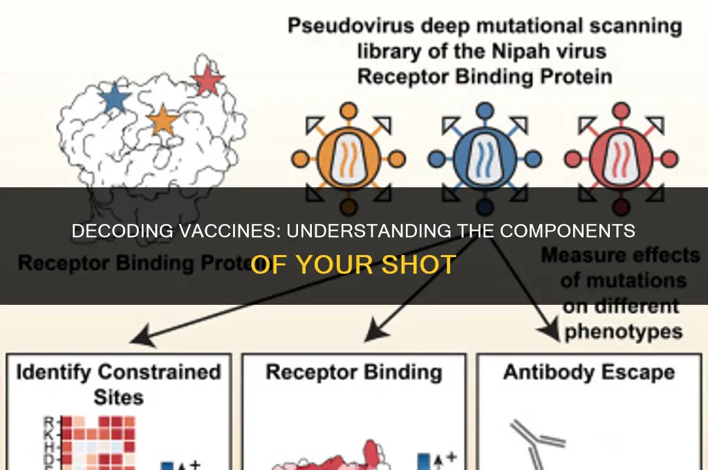 which vaccine has the virus in it