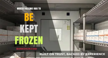 Frozen Guardians: Which Vaccines Require Cold Storage?
