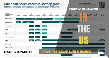 US-Approved Vaccines: A Comprehensive Guide for Travelers