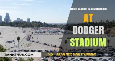 Dodger Stadium Vaccine Clinic: Which Shots Are Available?