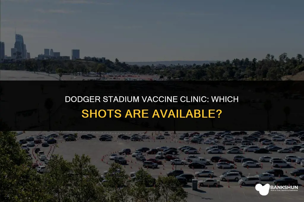 which vaccine is administered at dodger stadium