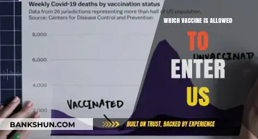 US Entry: Which Vaccines Meet the Requirements?