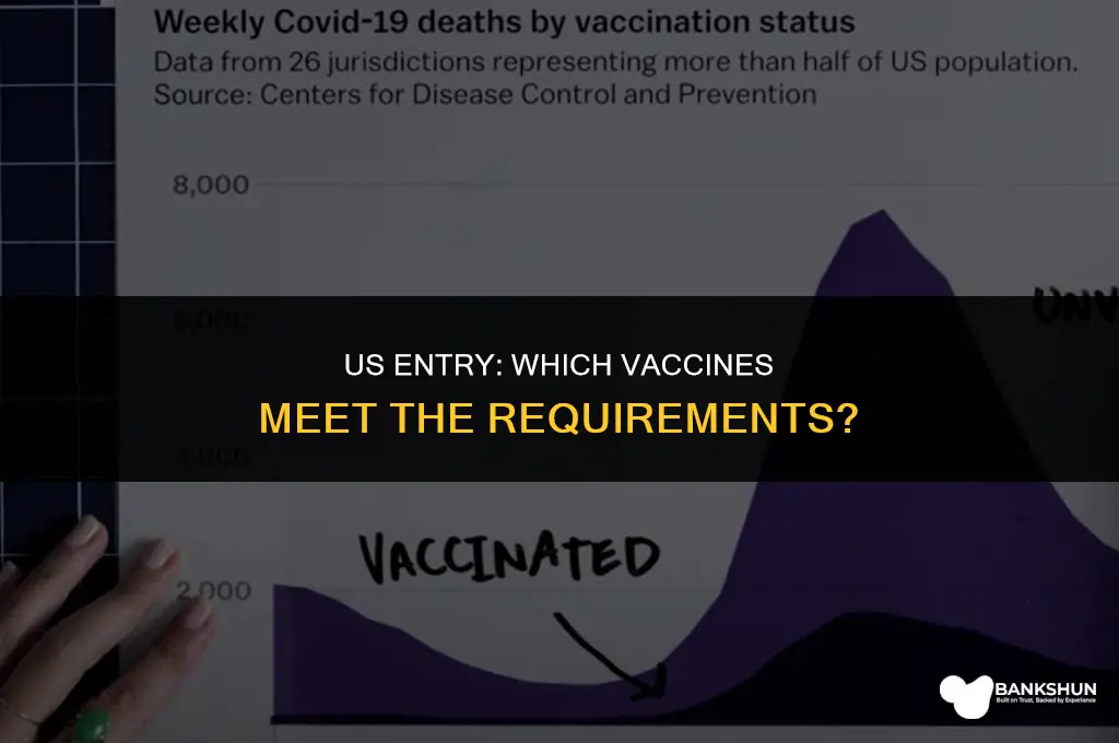 which vaccine is allowed to enter us