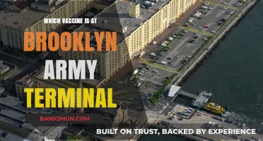 Vaccine Options Available at Brooklyn Army Terminal: A Guide