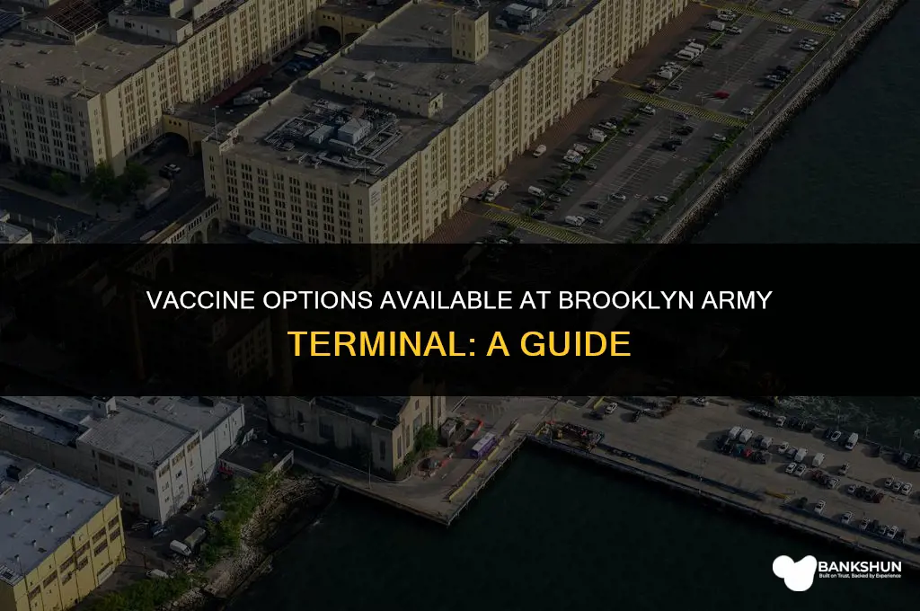 which vaccine is at brooklyn army terminal
