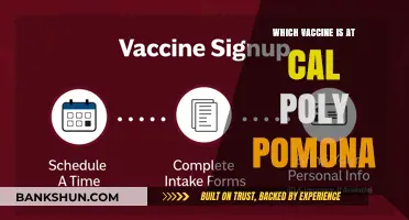 Exploring COVID-19 Vaccine Options at Cal Poly Pomona