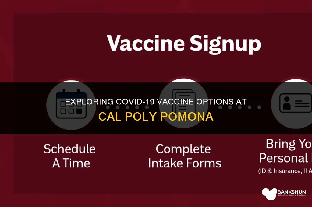 which vaccine is at cal poly pomona
