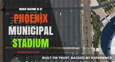 Vaccine Options Available at Phoenix Municipal Stadium