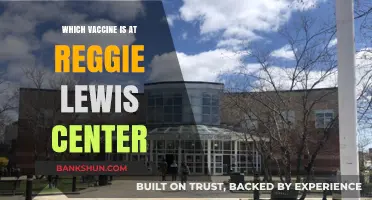 Vaccine Options Available at Reggie Lewis Center: A Comprehensive Guide