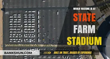 Vaccine Options Available at State Farm Stadium: A Comprehensive Guide