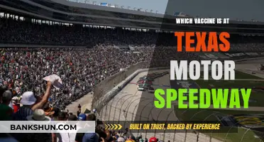 Revving Up Health: COVID-19 Vaccines at Texas Motor Speedway