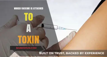 Decoding Vaccine Myths: The Truth About Toxin Attachments