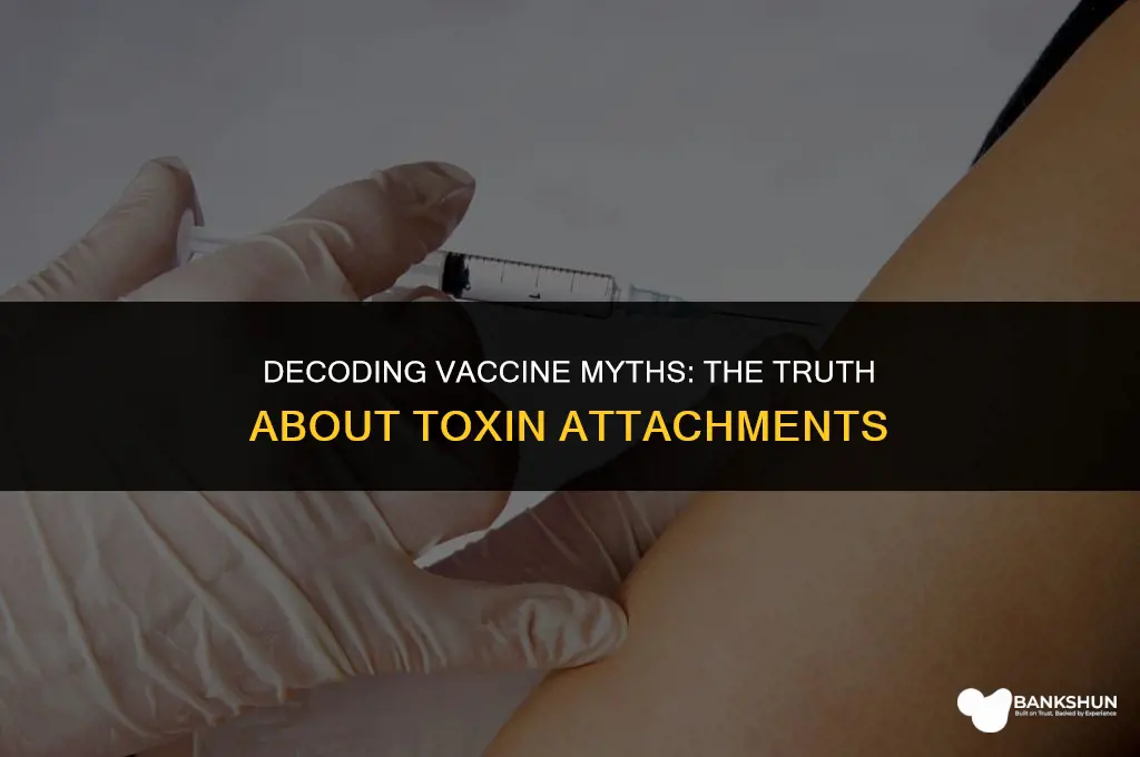 which vaccine is attached to a toxin