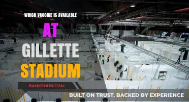 Vaccine Options at Gillette Stadium: Your Guide to Staying Protected