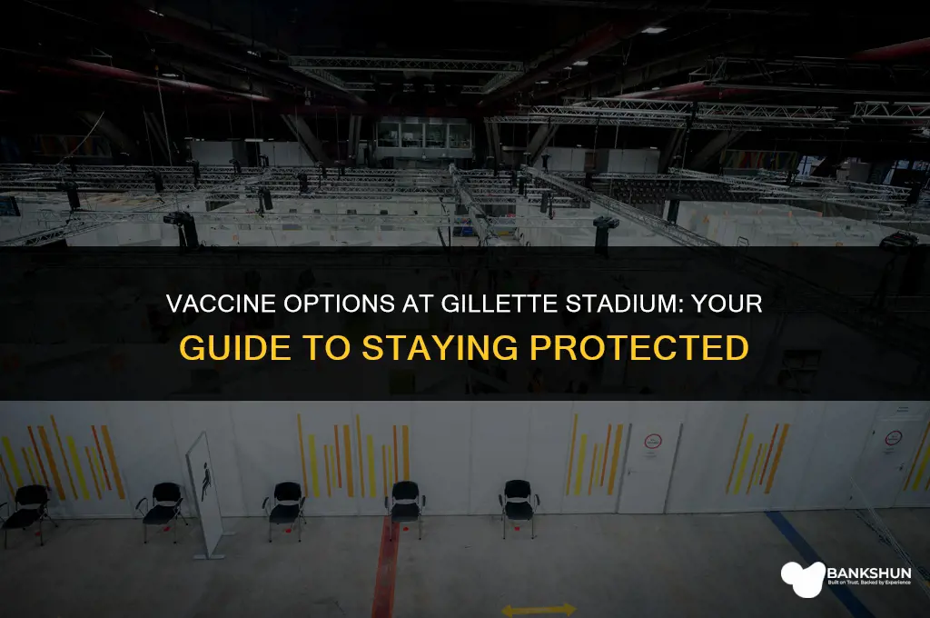 which vaccine is available at gillette stadium