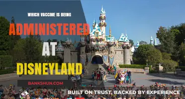Vaccine Rollout at Disneyland: Which Shots Are Being Administered?