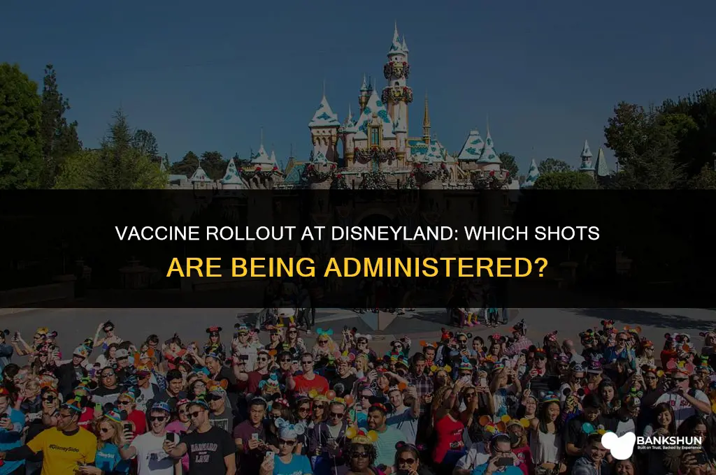 which vaccine is being administered at disneyland