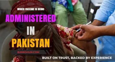 Vaccine Rollout in Pakistan: Which Shots Are Being Administered?