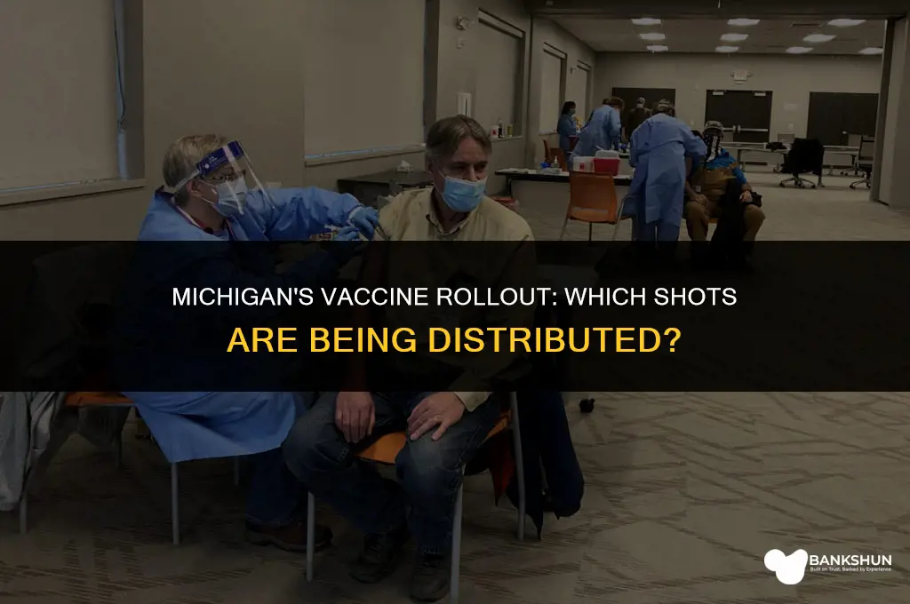 which vaccine is being distributed in michigan