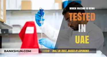 UAE's Vaccine Trial: A Comprehensive Guide to the Latest Developments