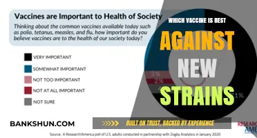 Combatting New Strains: A Comparative Guide to Effective Vaccines