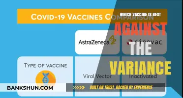 Decoding the Best Vaccine Against the Latest Variant