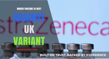 Combatting the UK Variant: A Guide to the Most Effective Vaccines