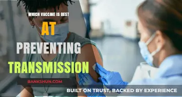 Decoding the Best Vaccine for Transmission Prevention: A Comprehensive Guide