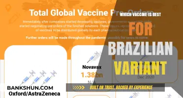 Combatting the Brazilian Variant: A Guide to the Most Effective Vaccines