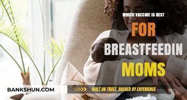 Nurturing Protection: The Safest Vaccine Choices for Breastfeeding Mothers
