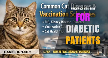 Navigating Vaccine Choices: A Guide for Diabetic Patients